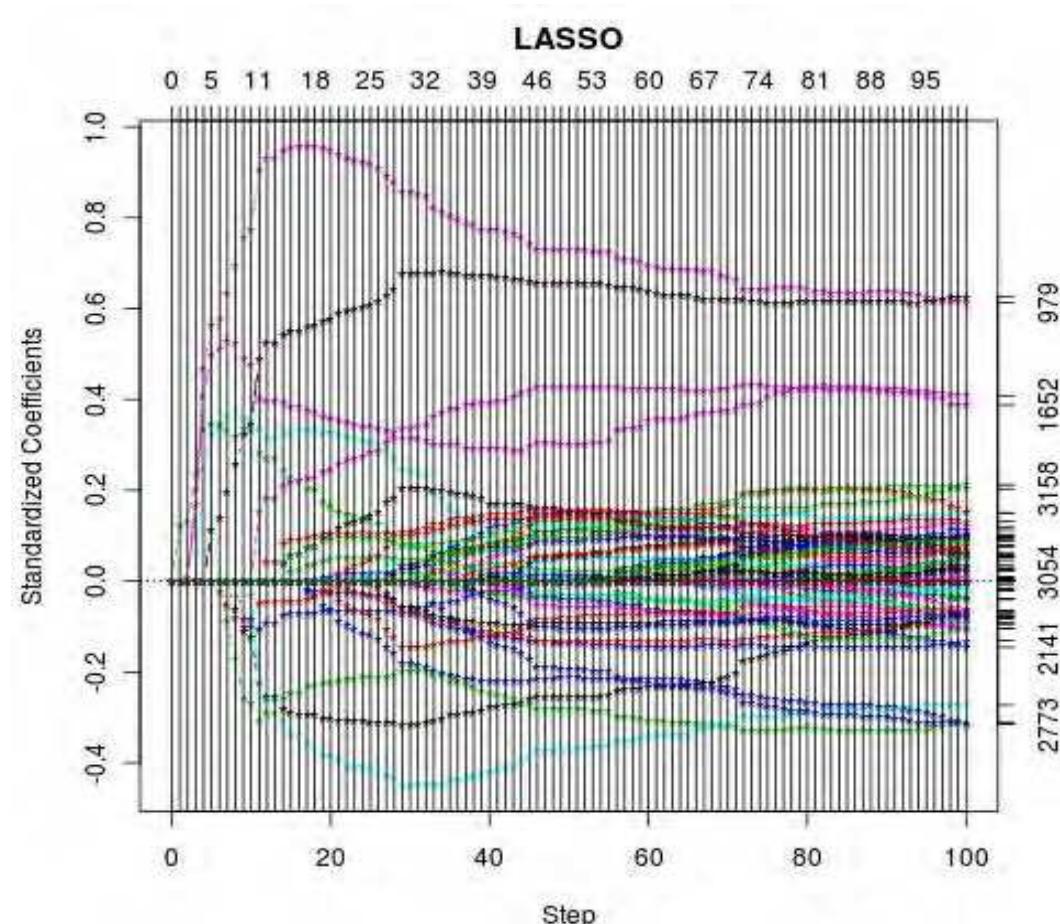 Profile of estimated coefficients for lars method 10 fold