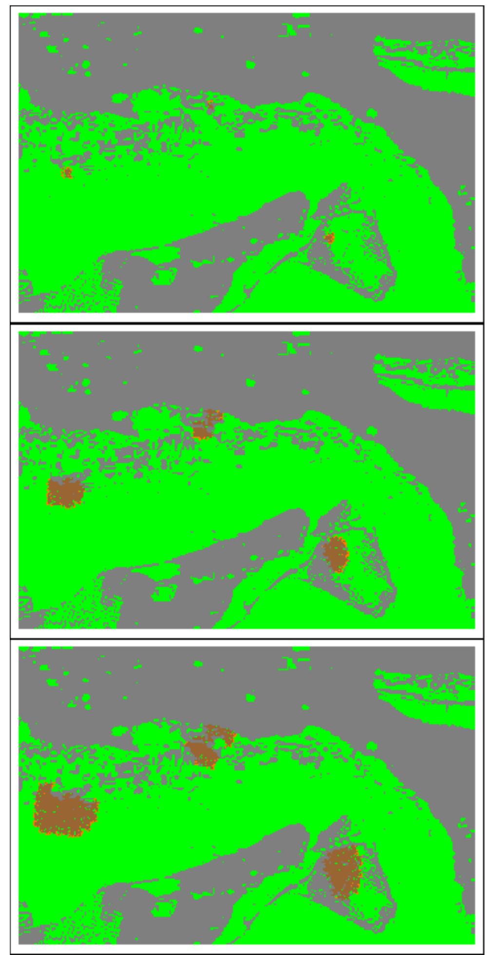 (PDF) A Cellular Automata Model for Fire Spreading Prediction