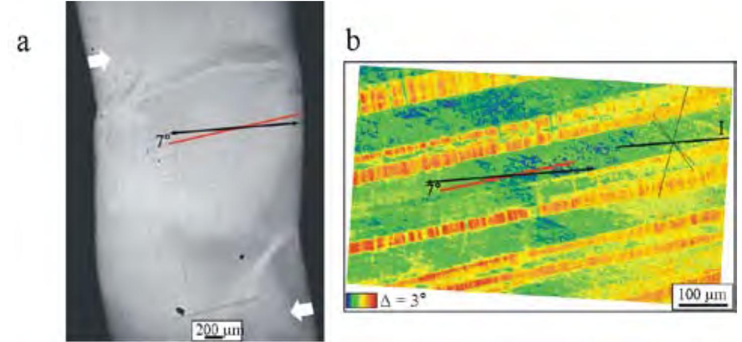 A: back scatter electron optical overview micrograph of the