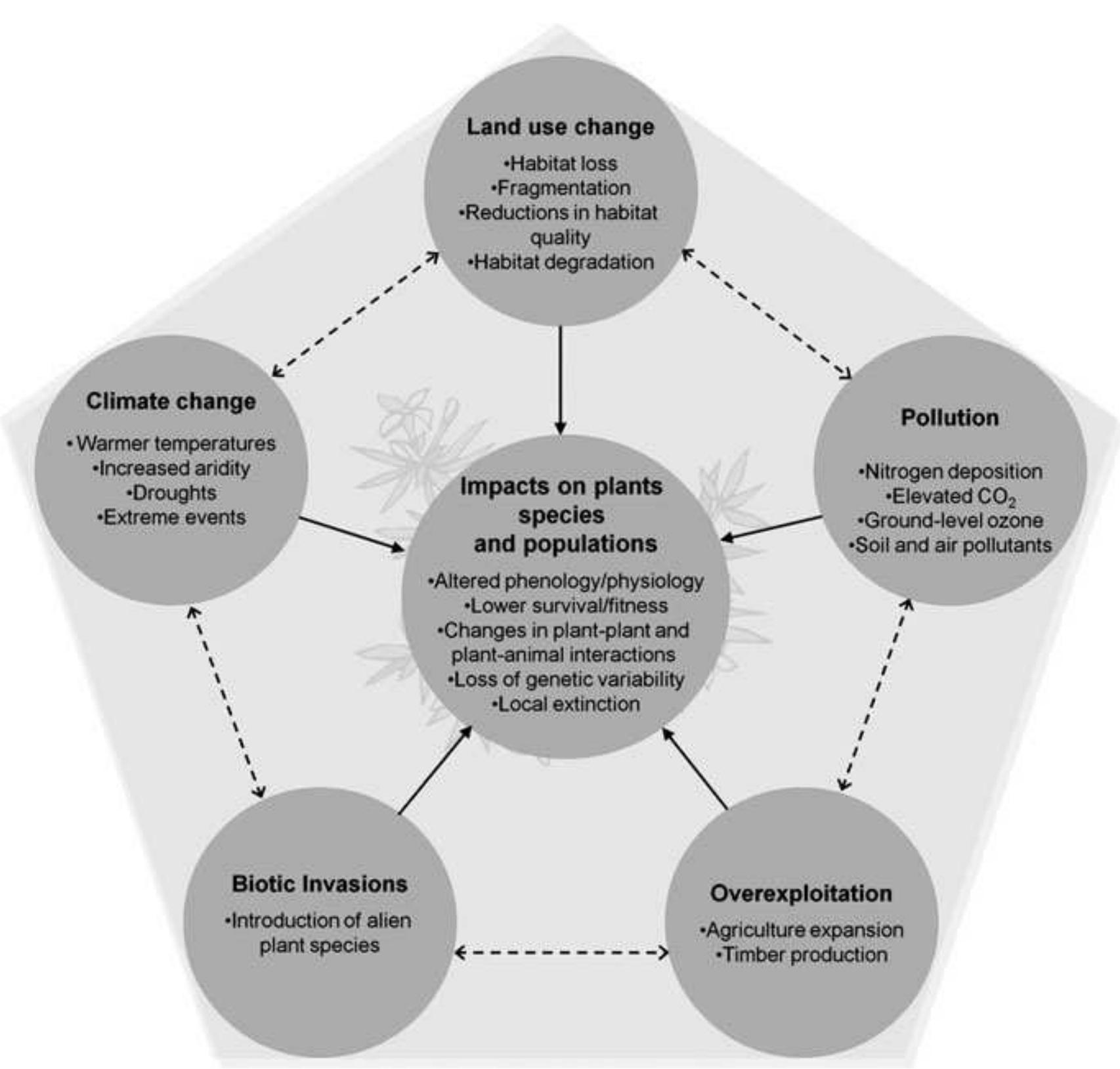 (PDF) Global change and the evolution of phenotypic plasticity in plants