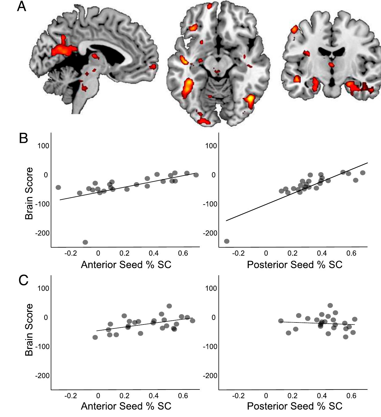 (PDF) A role for the hippocampus in encoding simulations of future events.
