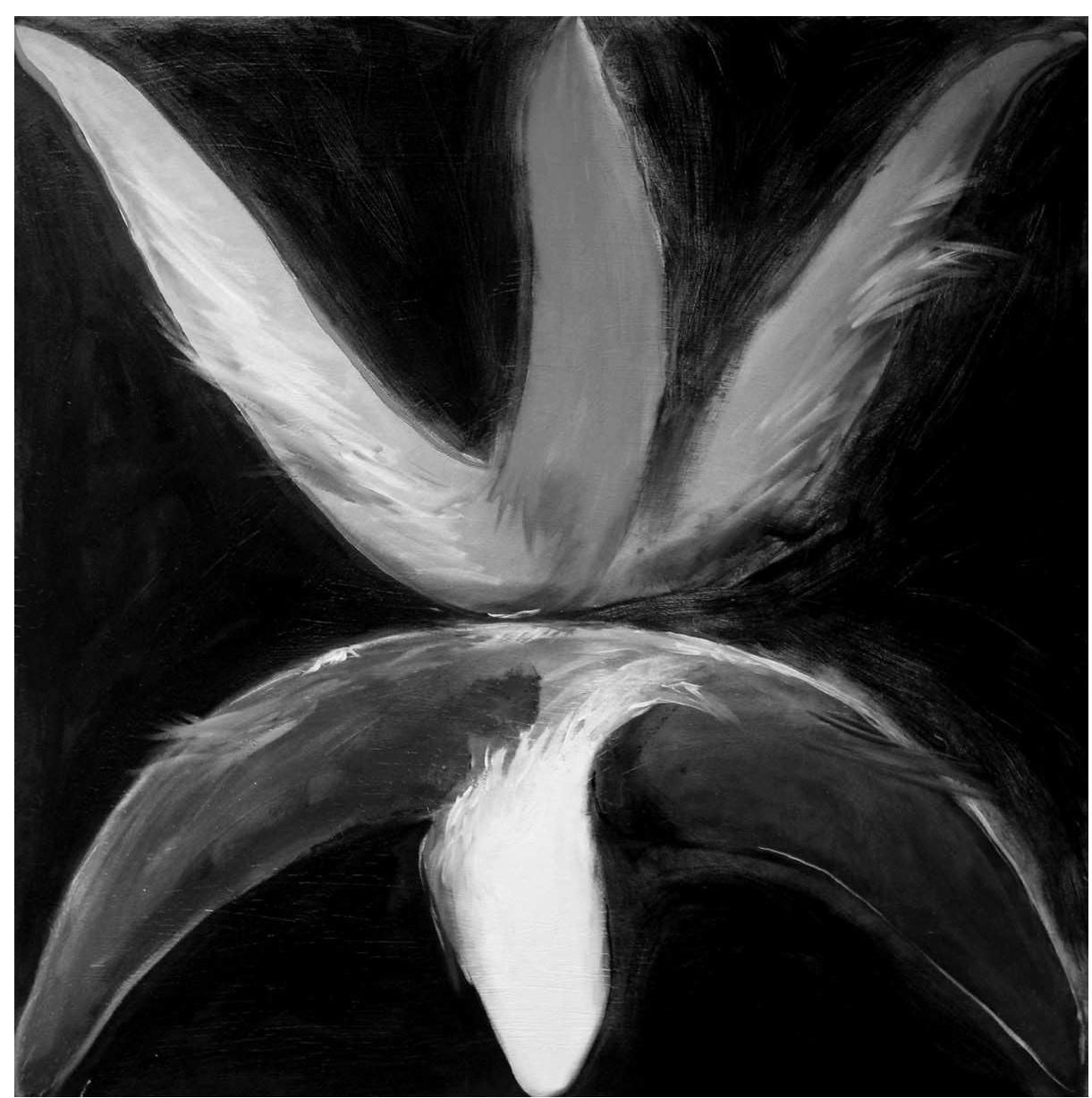 Manulua (oil on canvas, 4 sq. ft., Private Collection, Auckland). Based on the influence of Papua sculpture on my paintings and sculptures, this painting refers to two birds or manu, and represents for me male-male sexuality.  The greatest favourite was the Po-ula (night of play or plea- sure). This was an obscene night dance, and a constant source of enjoyment, especially when any visitors were present to take part in it. As the evening set in, the spectators as well as dancers began to assemble, after much care had been bestowed upon their dresses and general make-up. The only covering of the males consisted of the titi, or girdle of leaves, often not more than seven or eight inches in width, and about the same in depth, whilst that of the females consisted of a white or red 