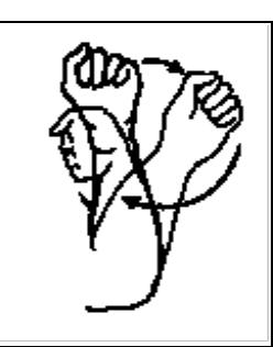 Figure 1.8: “..and she chased him out again’.  Gesticulation refers to the type of spontaneous gesturing that occurs as people speak. McNeill (1992:9) illustrated this nicely with an example from his own research. In these studies, a speaker watched a film or animated cartoon, and then later recounted the story to a second person. The example in Figure 1.8 is a gesture produced by a participant while explaining how one character in the cartoon pursued another and attempted to hit the unfortunate individual with an umbrella. The speaker produces this gesture while saying ‘and she chased him out again’. This example illustrates how the iconic gesture can complement the spoken utterance, conveying information that the speech leaves out, since the informant did not refer to the use of the umbrella by the cartoon character in spoken words, only in the gesture. 