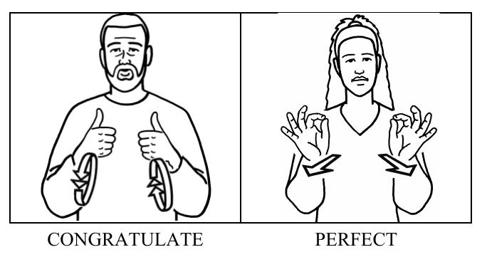 (PDF) Australian Sign Language (Auslan): An introduction to the ...
