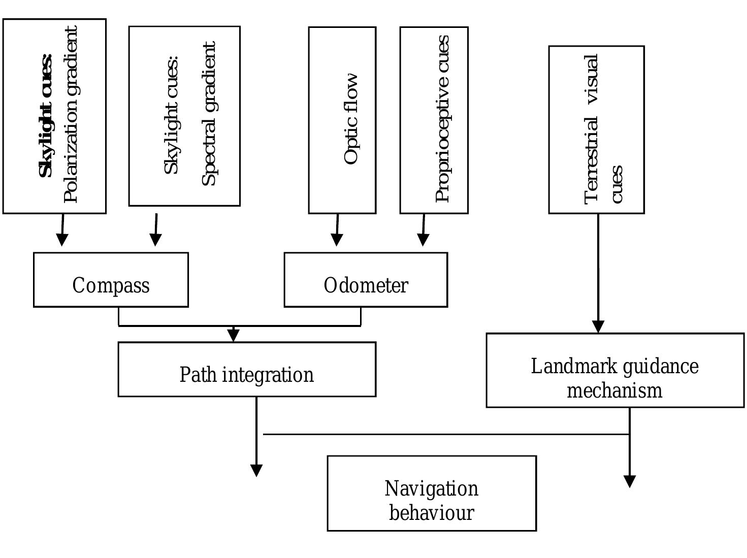 Schematic architecture of insect’s navigation system. in
