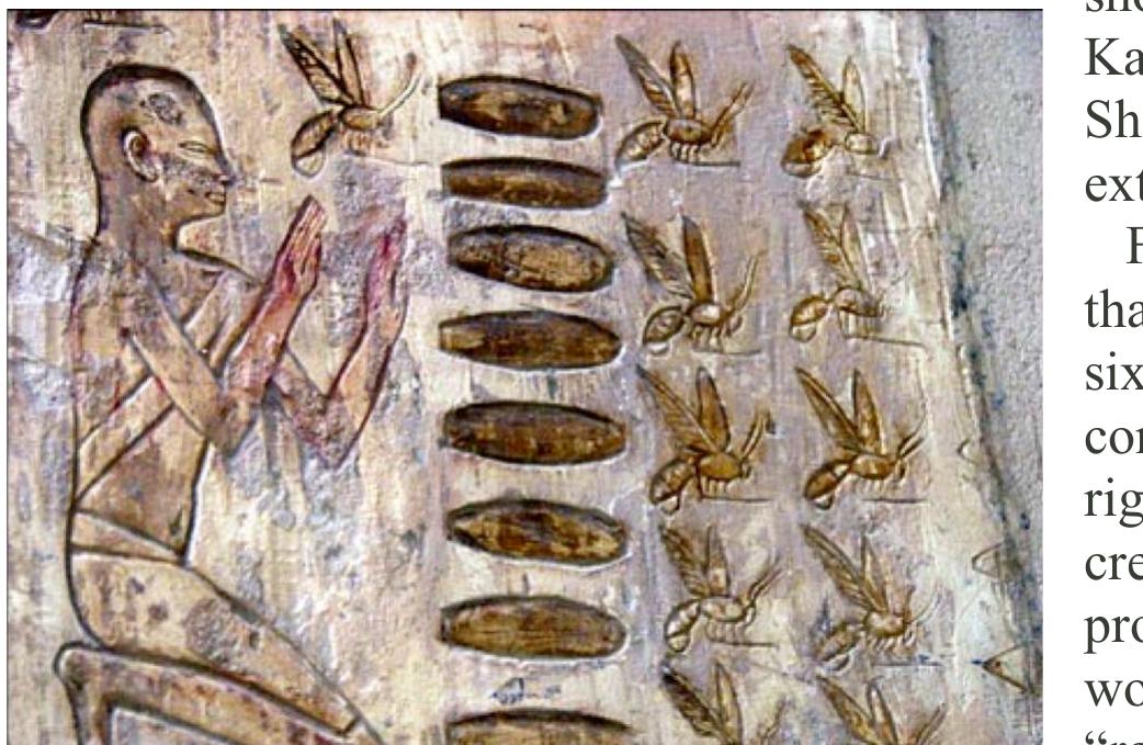 (PDF) The Qur an and the Bee