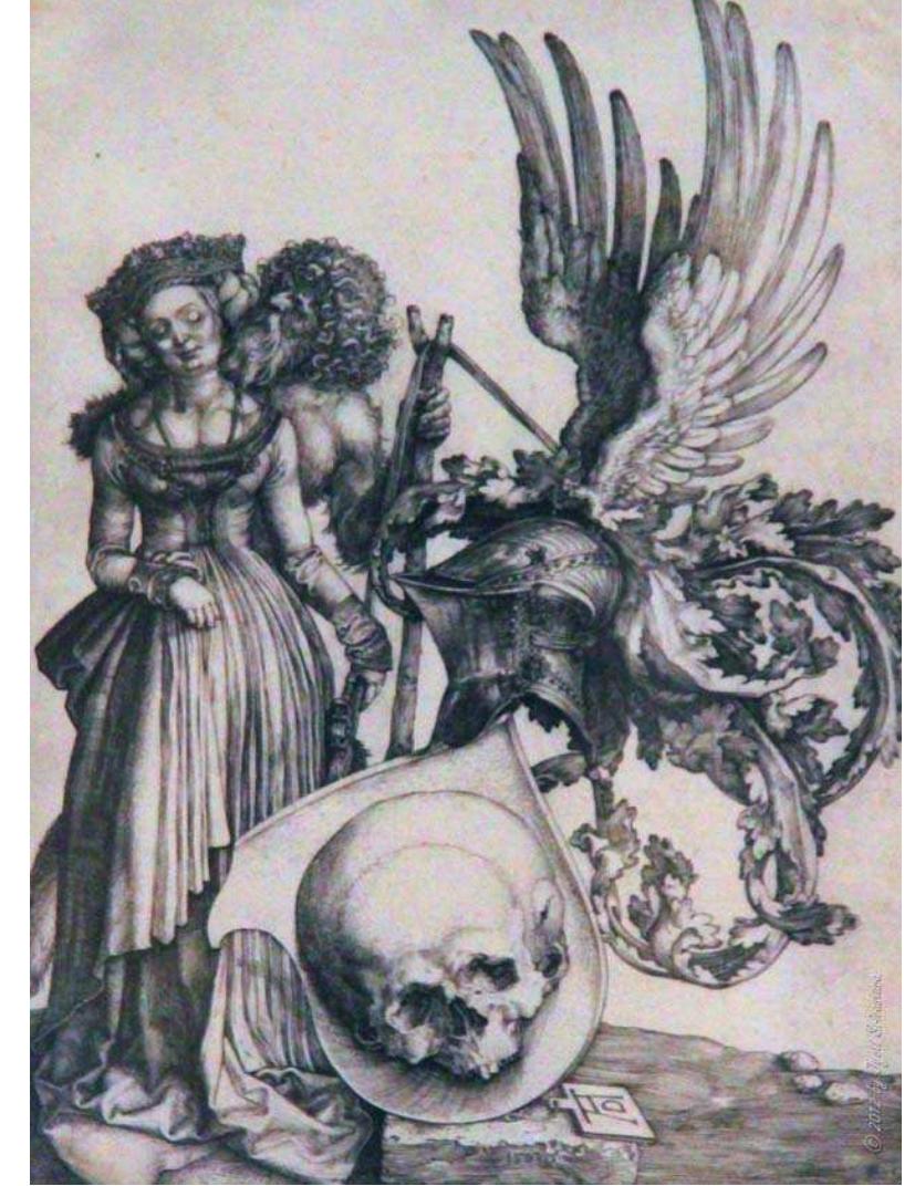 abdomen, the shield may be further dissected into its  synecdochally supplied by the supporters. Like th 