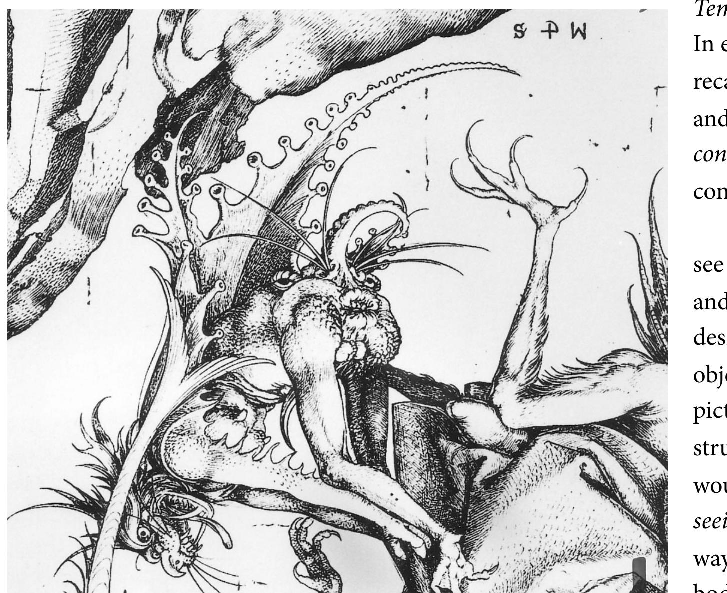 approach this vast subject from two directions. The first inquiry concerns the nature of bodily  Schongauer’s hidden anal demon showing its “other face” in the 