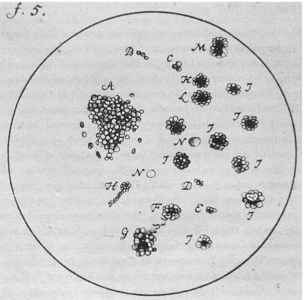 This incipient conceptual chaos was meliorated somewhat by the thought that there might still be a continuum of forms from most complex to most simple. Martin Frobenius Ledermiiller illustrates a drop of carp semen, in which he is pleasantly surprised to find “millions of little egg- shaped creatures” describing sinuous paths through the seminal fluid.5s Circulating granulated protoplasm was taken for alarming numbers of gestating embryos. Some thought the fecundity of  protozoa was unnatural, “especially if we consider the infinite number of young ones which are 