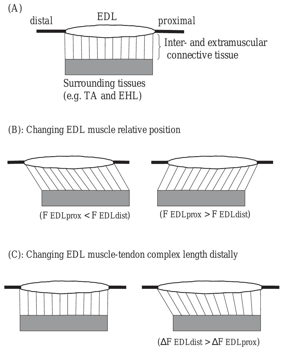 Schematic drawings to illustrate configuration changes of