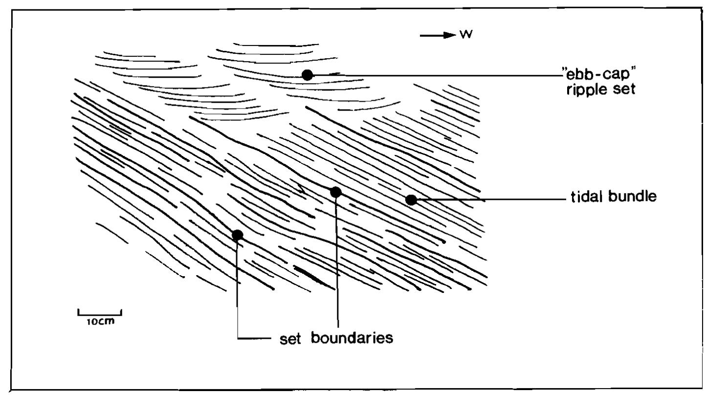 Figure 12 - from Tidal flat and subtidal sand bodies