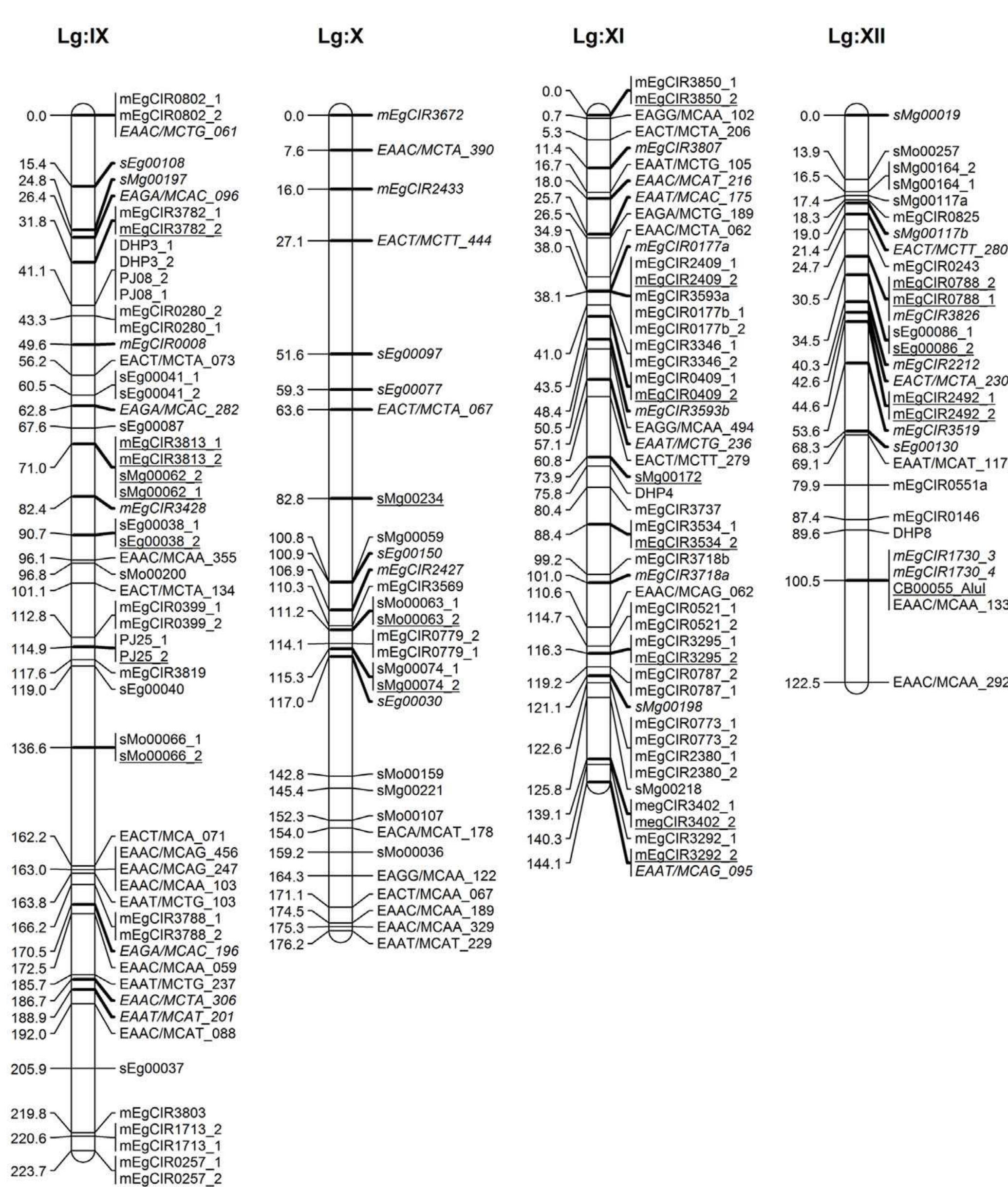 (PDF) Genetic Linkage Map of a High Yielding FELDA Deli× Yangambi Oil ...