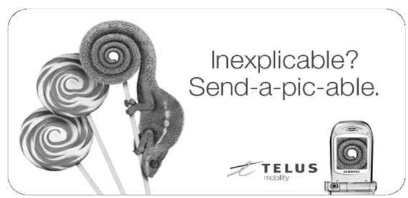 photographic with telephonic capabilities. The mimetic species which feature in this series of ads are vivid lizards, chameleons whose photosensitive skin becomes the splitting image of its surroundings. In each ad, a lizard is shown blending in with the object next to it, an object which is often, but not always, a camera phone. In one exception, a chameleon is shown ‘becoming’ a blue-swirl lollipop in time-motion stages, stages mirrored by the hyphenated caption: ‘In- ex-plic-able? Send a pic-able’ (see Figure 2). This Telus ad cries out to be read in the context of a biological discourse of mimesis elaborated by Roger Caillois in his 1938 essay ‘Mimicry and Legendary Psychasthenia’. Caillois turns to the study of mimetic insects to carve out a fascinating theory of mimesis as an animal ‘pathology’ (1984: 17). Insects mimicking the appearance of leaves, twigs, or stones demonstrate, for Caillois, a vertiginous ‘luxury’ or excess leading animate life to approximate inanimate life, stasis, and even death. He christens this animal death wish ‘/e mimetisme’ (1984: 25). The playing dead of insects and animals signals not a survival mechanism protecting an organism against predation, Caillois contends, but a perverse death drive which he formulates as a ‘temptation by space’, or an ‘assimilation to the surroundings’ (1984: 28, 27). Telus ads reveal a similar fascination with the notion that mimetic animals are instinctively compelled to become thinglike — whether in stages, as with the lol- lipop lizard, or instantly, as with a chameleon in a different ad which has become of a piece with shards of colourful porcelain lying around it. 