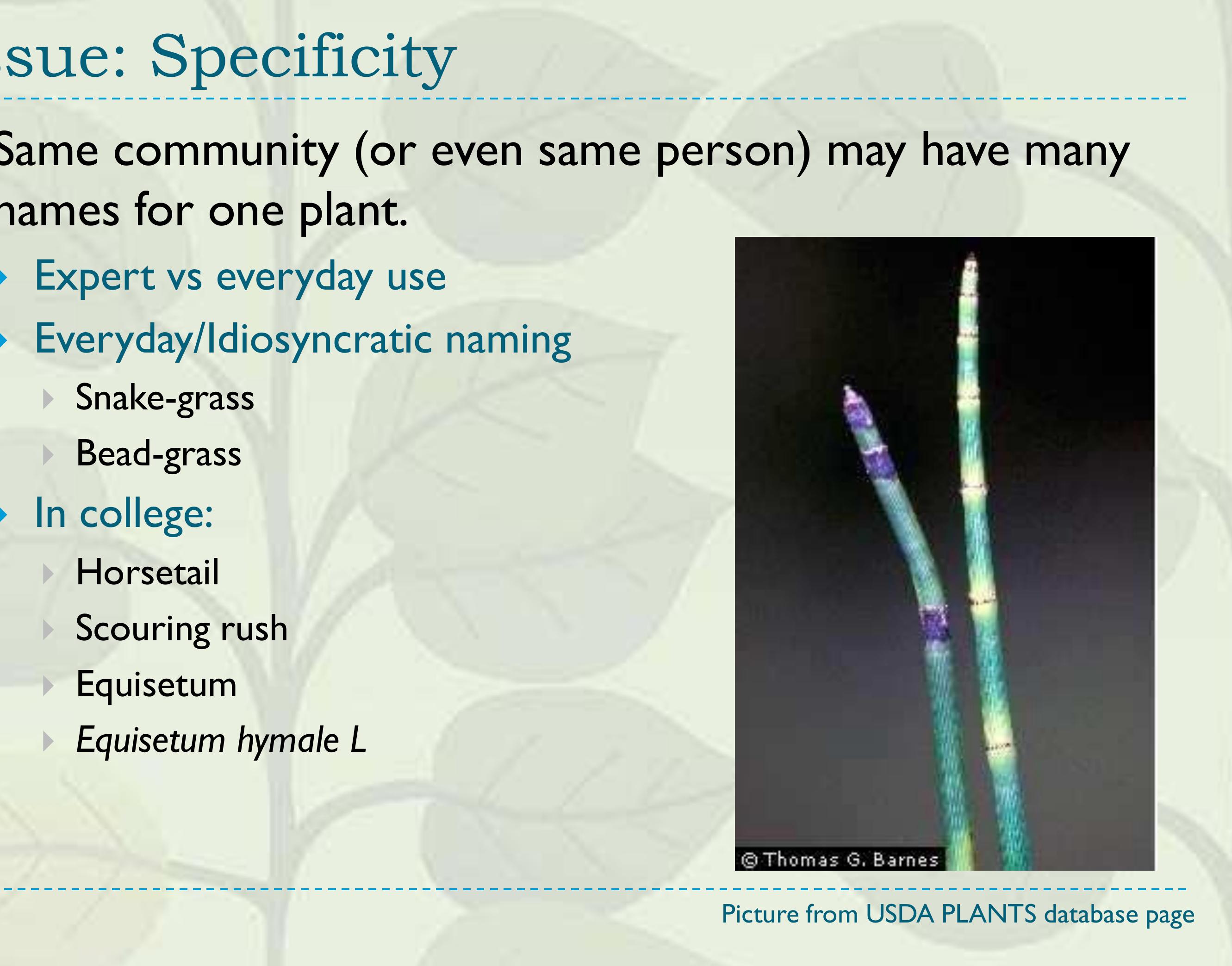 PDF) Documenting Plant Names