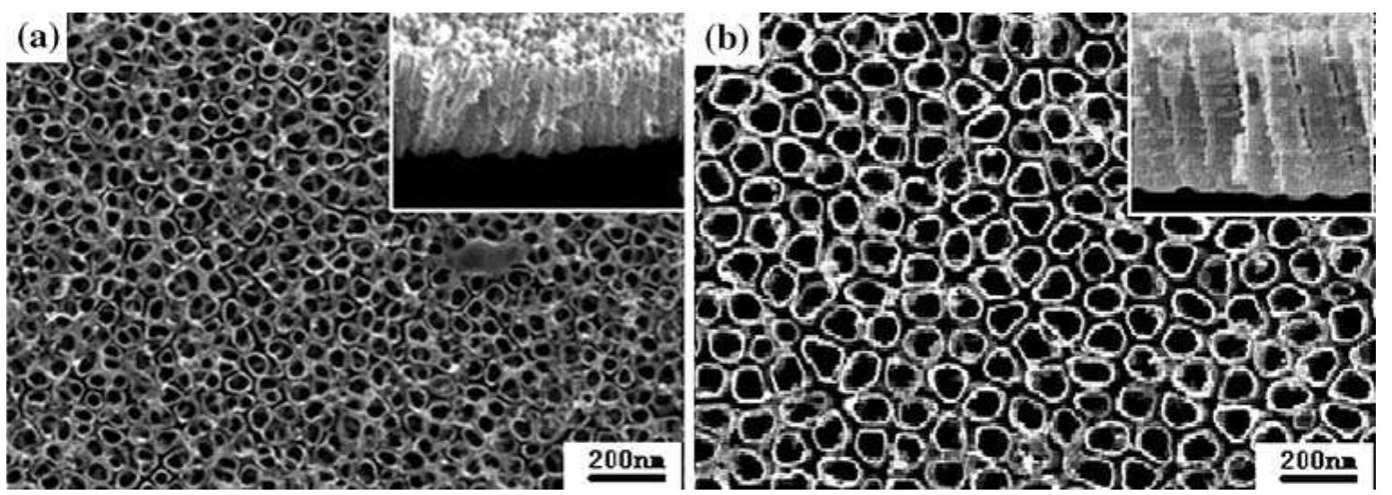 Sem images of the top view and cross-section of tio nanotube