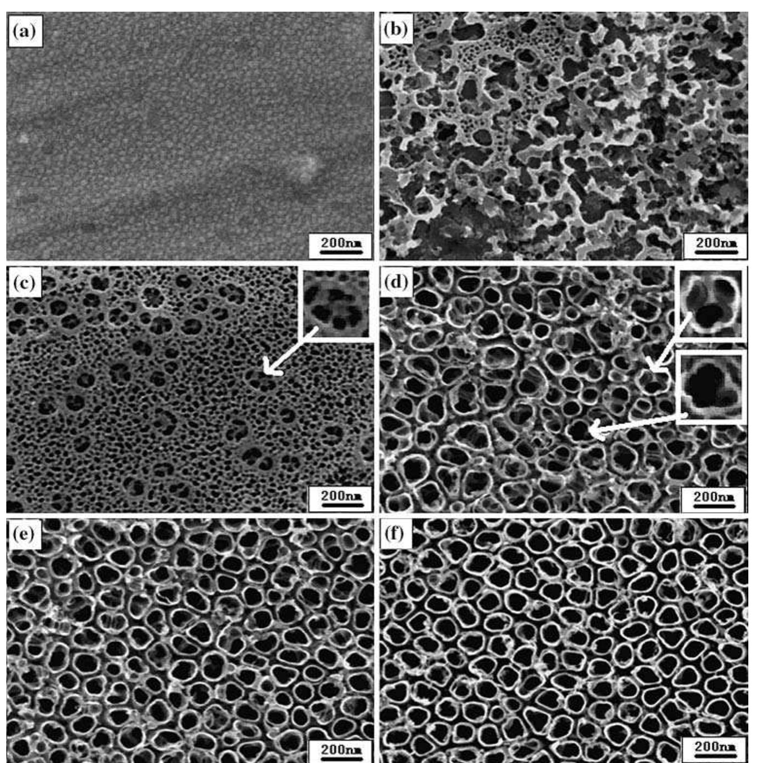 Sem images of the top view and cross-section of tio nanotube