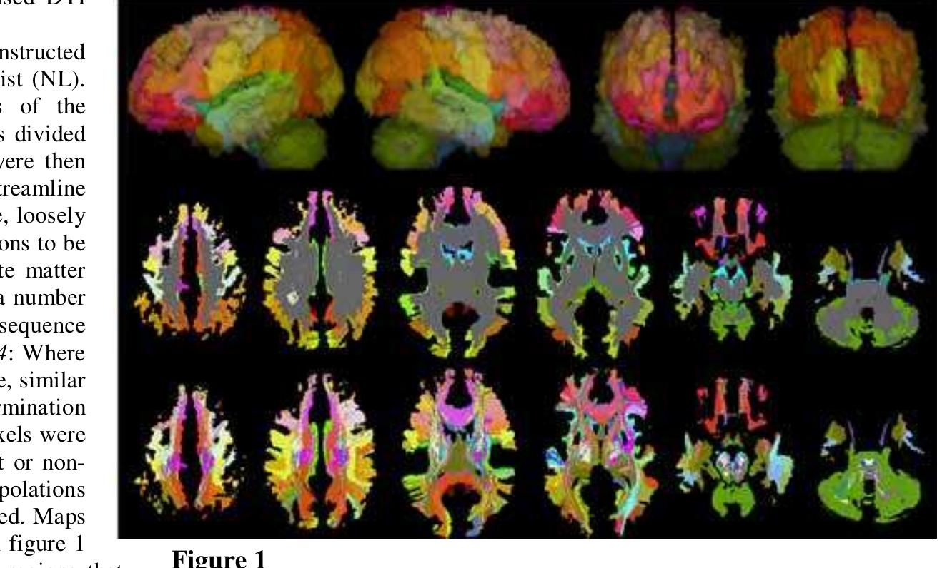(PDF) Atlas-based segmentation of white matter tracts of the human ...