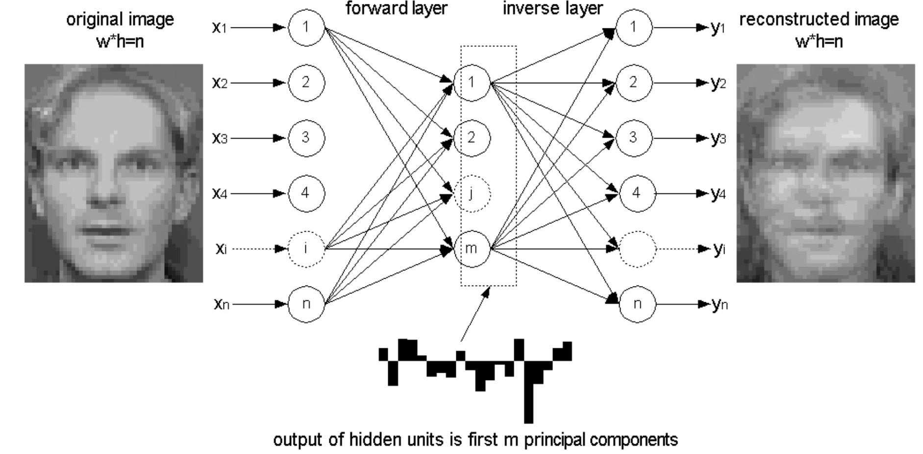 (PDF) APPLICATION OF RECIRCULATION NEURAL NETWORK AND PRINCIPAL ...