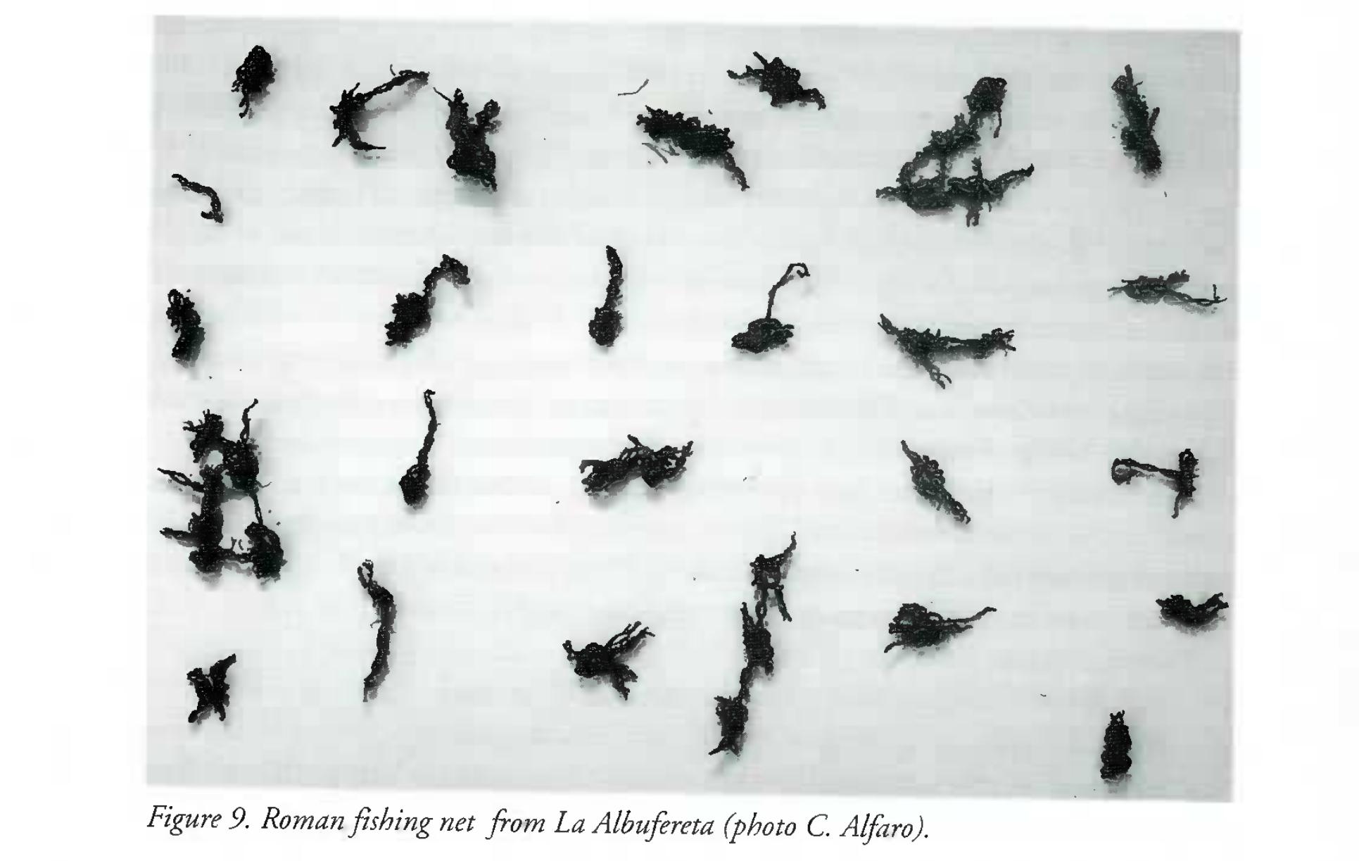 Figure 14 - from Fishing Nets in the Ancient World: the
