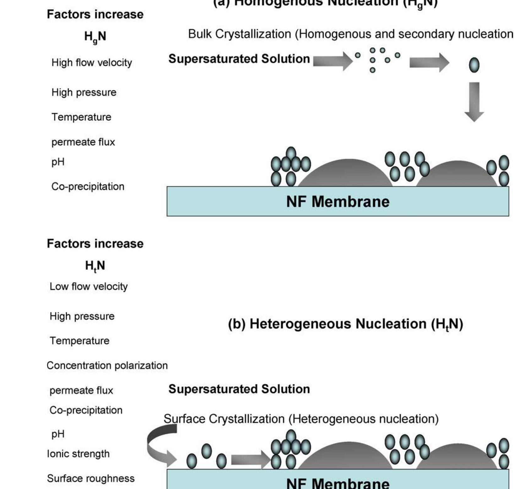 Clean Formation Figure 2 - from Fouling strategies and the cleaning system