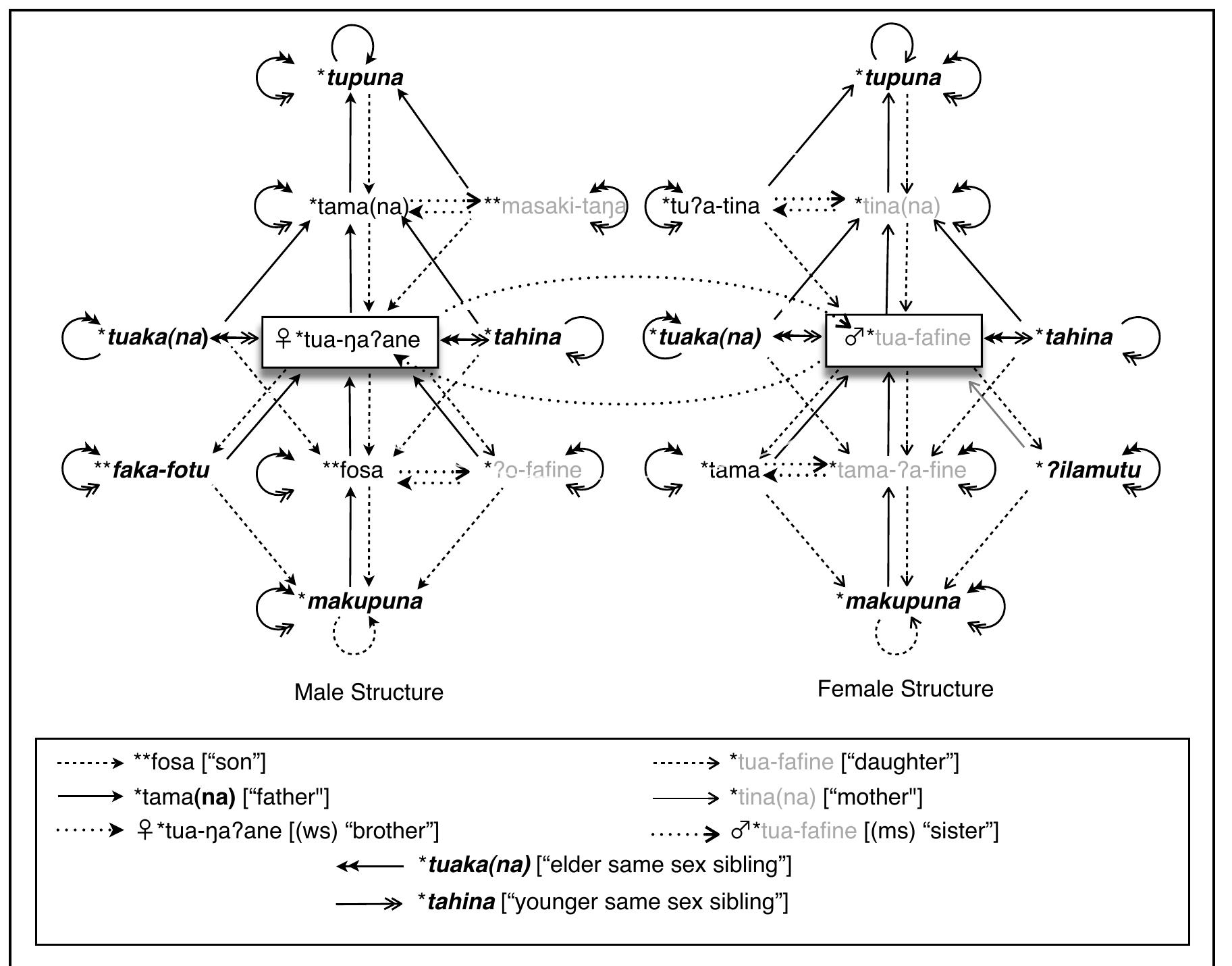 Polynesia Social Structure Kin term map for the *proto-polynesian terminology