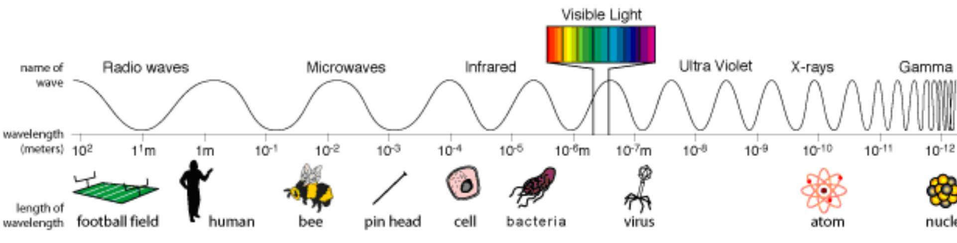 The electromagnetic spectrum waves in the electromagnetic