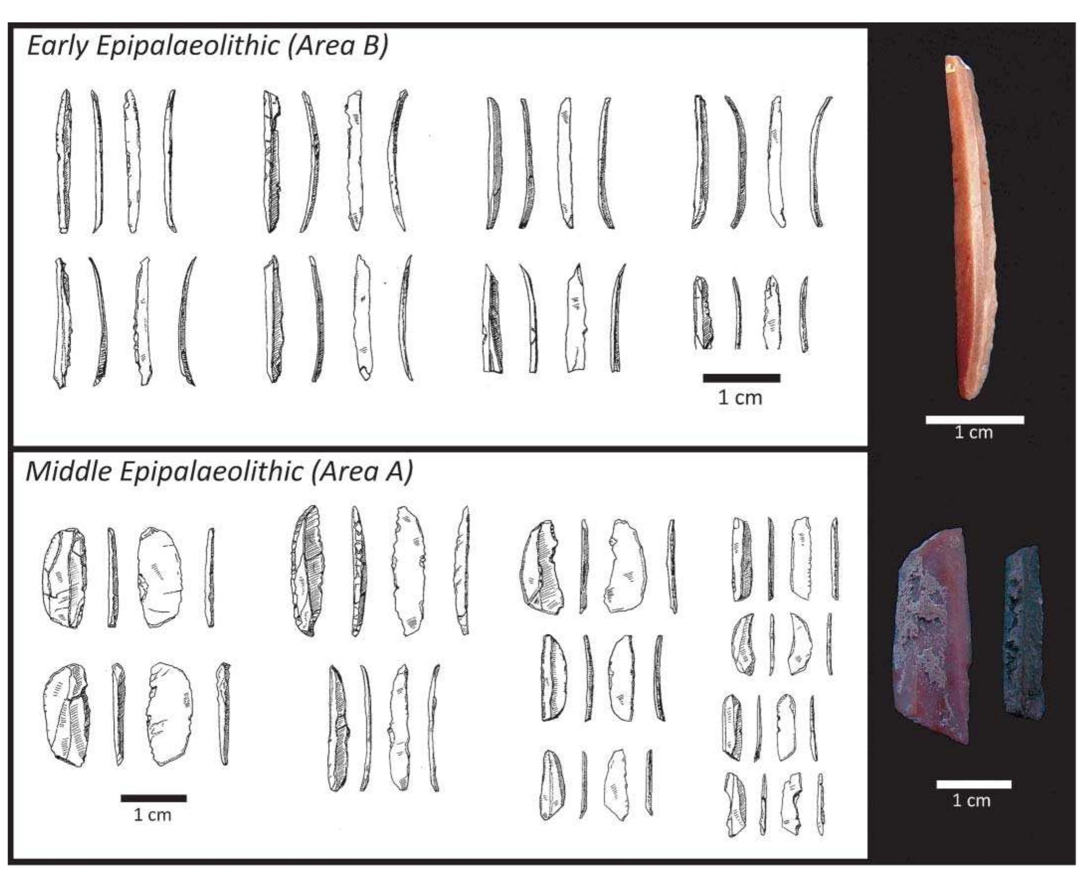 Figure 2 - from Assessing typo-technological variability in