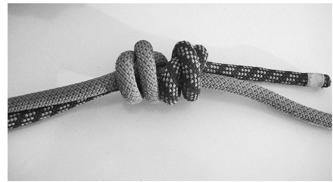 FIGURE 8.1 Double Fisherman’s knot (photograph: Timothy Webmoor) 