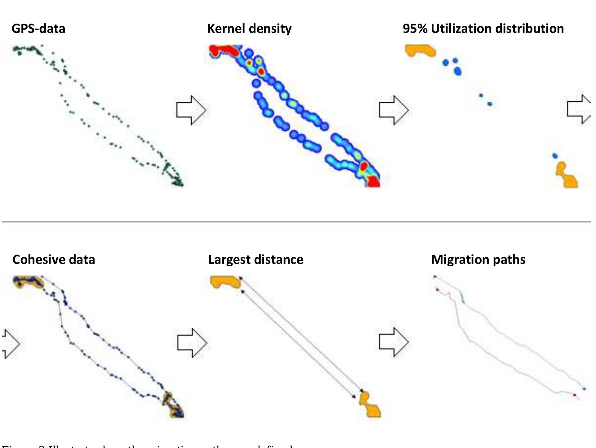 First Wave Arcmap Illustrates how the high resolution data was transformed