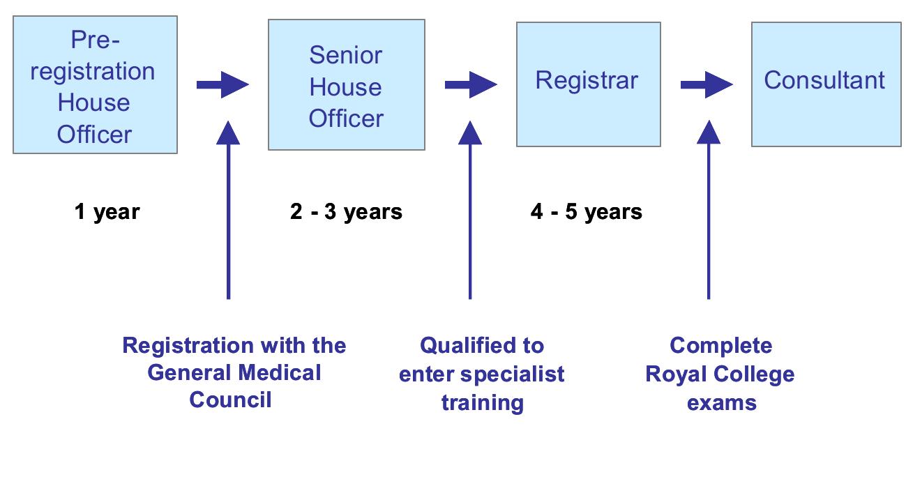 Doctor. Check Grade B - simplified diagram of new junior doctor grades under