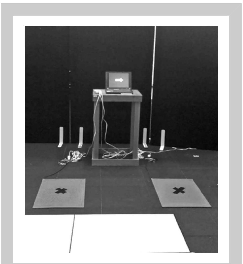 (PDF) The evaluation of a new lower body reaction time test
