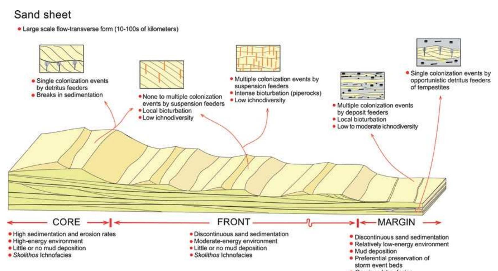 Sand Structure Interface (PDF) Tidal flat and subtidal sand bodies