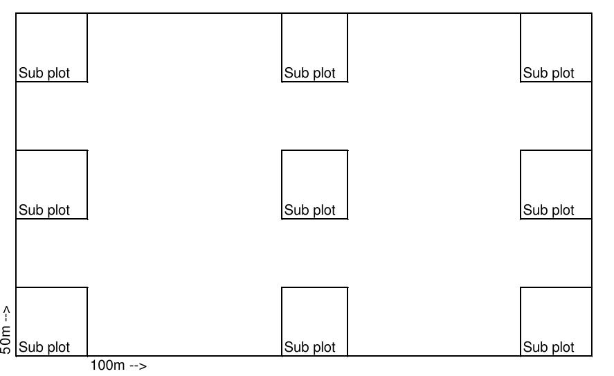 Layout of main plot (50mx100m) and its sub plots (10mx10m).