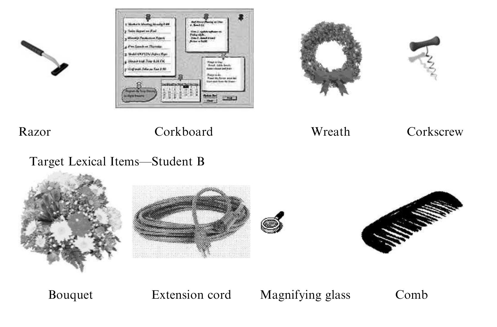 Target Lexical Items—Student A  After you have decided on the four gifts you will buy, discuss gift-giving customs in your countries! Is there any difference in gift giving practices between your country and your chat partner’s country? If not, or if you come from the same country, discuss similarities or differences you have noticed in gift-giving practices between your country and the US. 