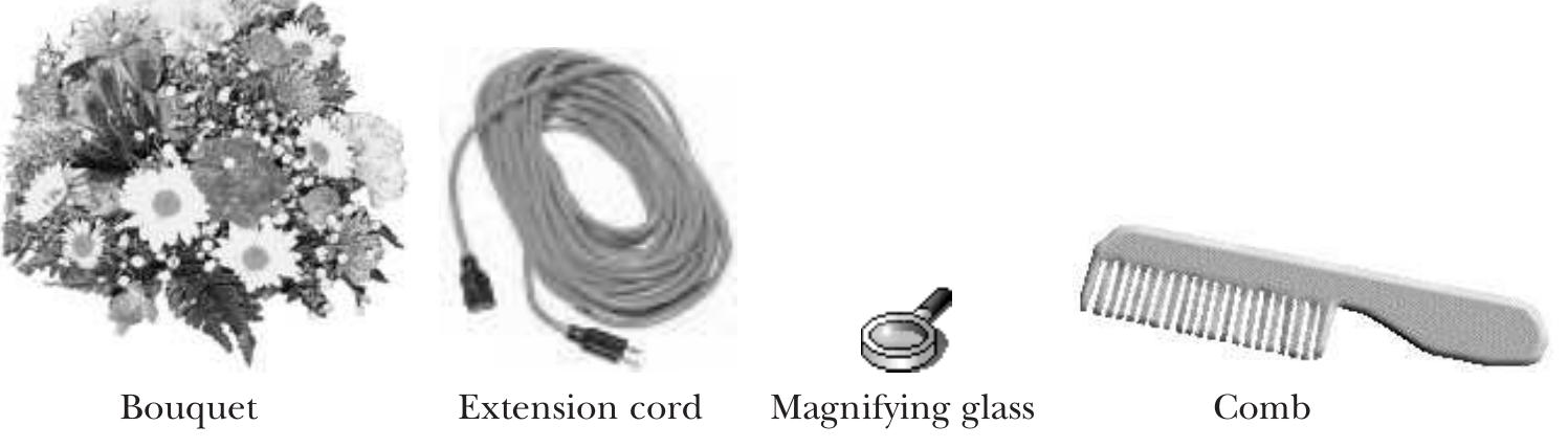 Part 2: After you have decided on the four gifts you will buy, discuss gift-giving customs in your countries! Is there any difference in gift giving practices between your country and your chat partner’s country? If not, or if you come from the same country, discuss similarities or differences you have noticed in gift-giving practices between your country and the United States. When you are finished, raise your hand!  Below are some items you have noticed while shopping at the Meridian Mall, which may make good presents. Your roommate/friend has been shopping at the Lansing Mall and has also seen some (different) things that he/she thinks might make good presents. Since the presents will be from both of you, you must decide together on one present for each family member (four total). 
