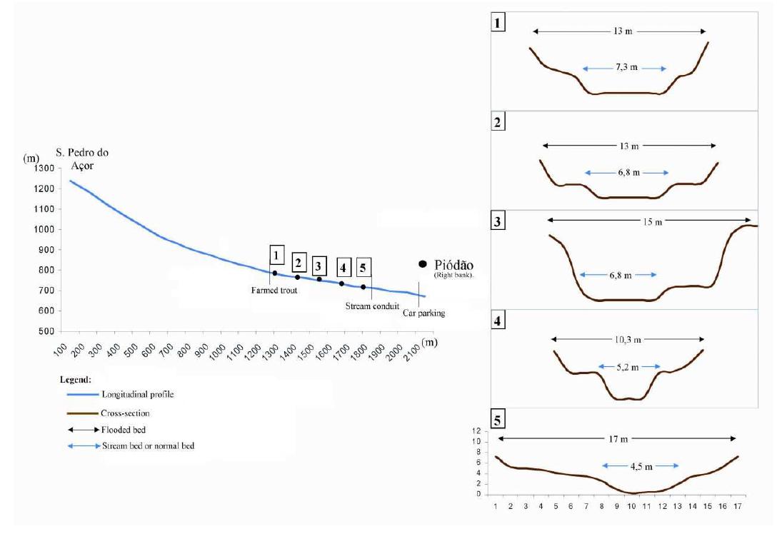 Profile and different cross-sections of the piodao river