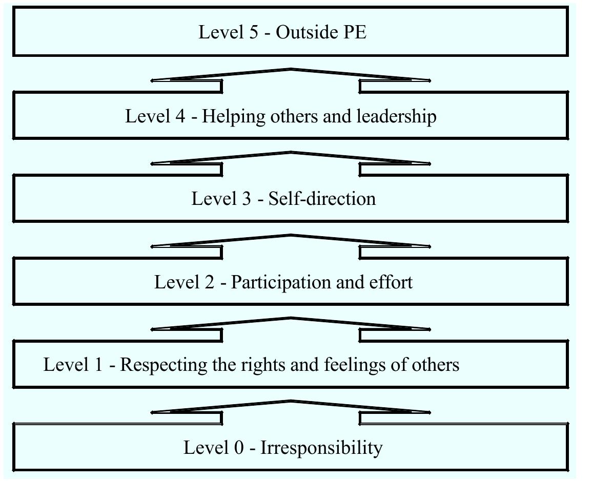 Figure 3 - from Skills, strategies, sport, and social