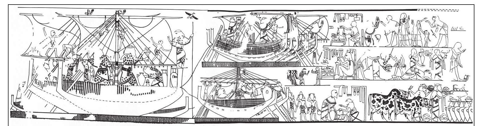 The Life and Career of Nebamun, the Physician of the King in Thebes  