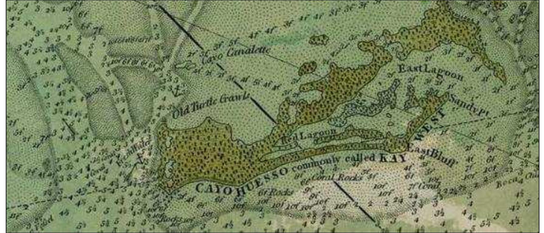 (PDF) The History and Archaeology of the Key West Turtle Fishing Industry