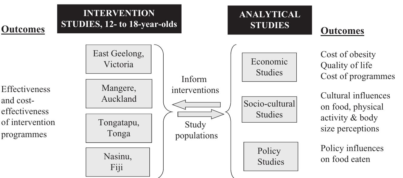 (PDF) The Pacific Obesity Prevention in Communities project: project ...