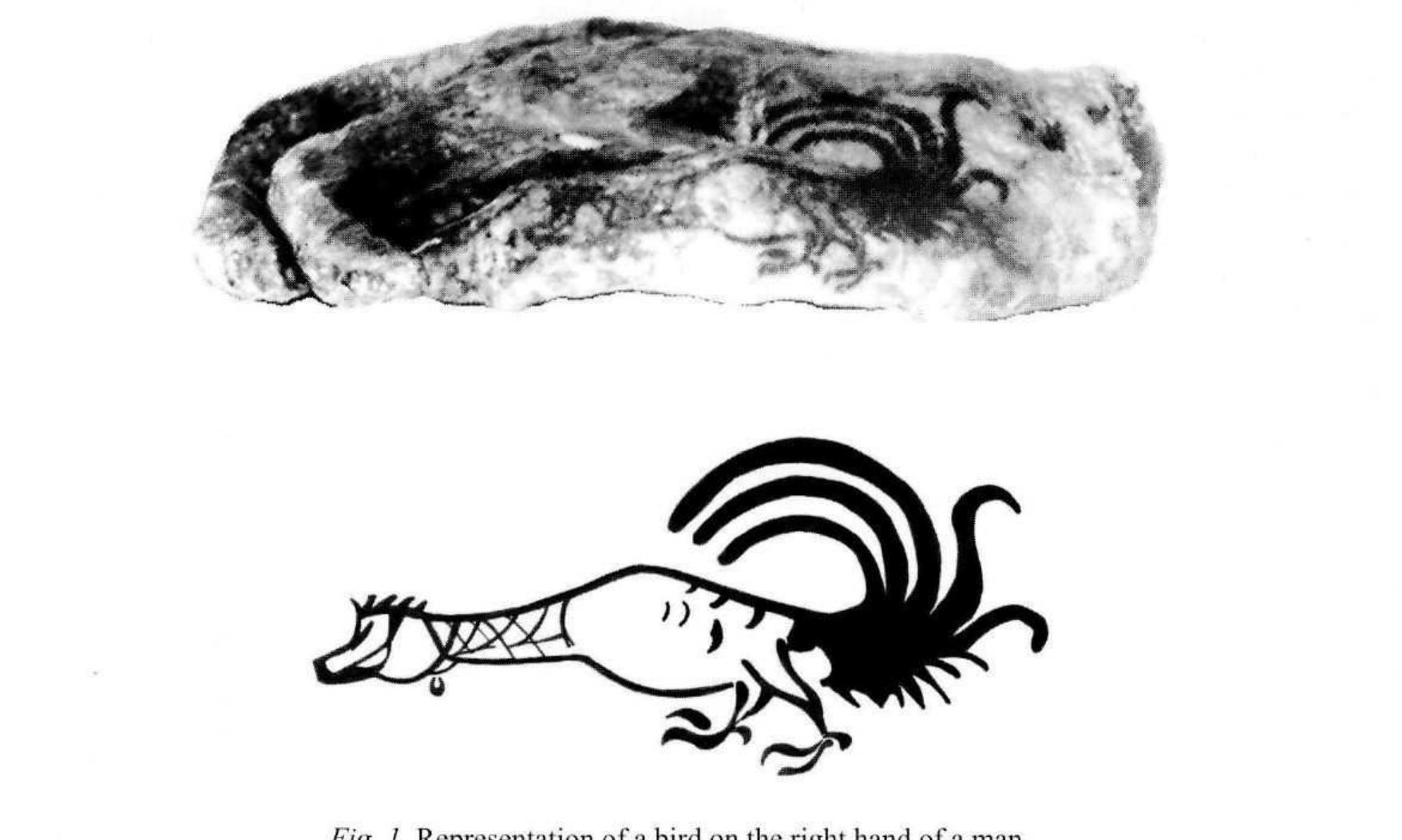 Copying the drawings is only possible on yhotographs, which