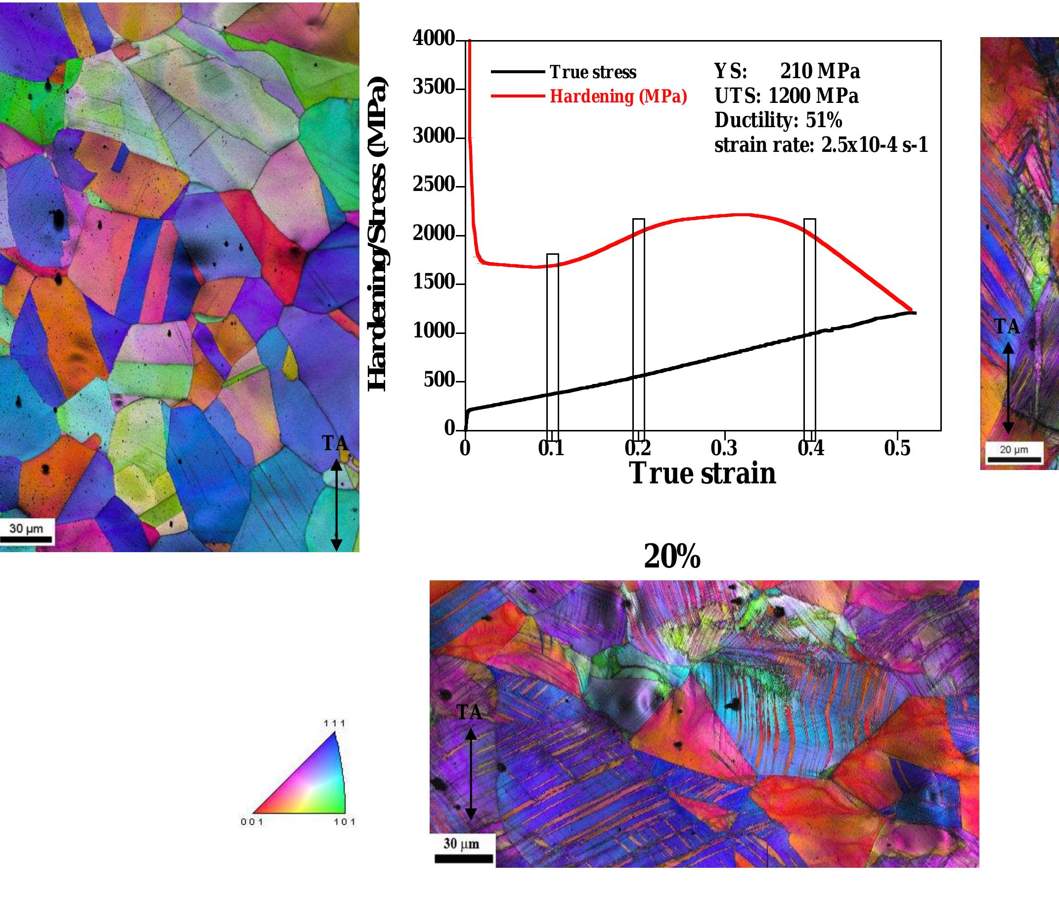 Figure 1 - Electron channeling contrast imaging of twins and