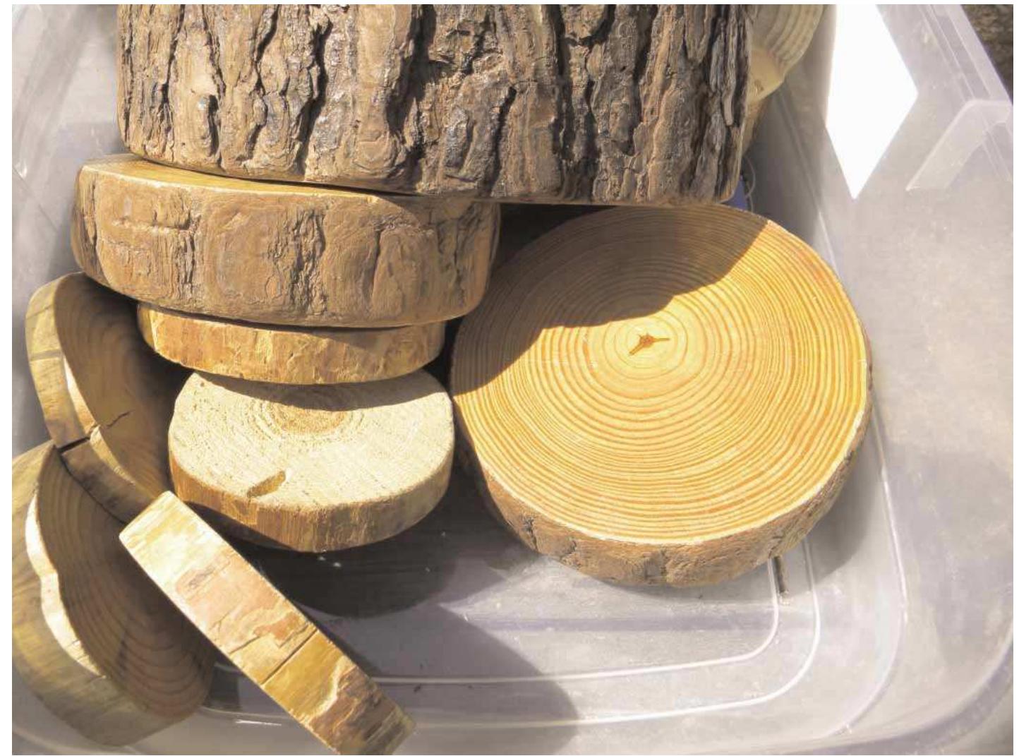 Tree Increment Core Sample (PDF) The misdiagnosis: Rethinking “nature-deficit disorder” (2013)