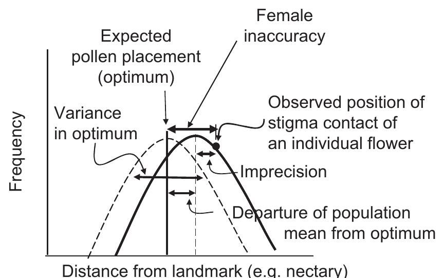 (PDF) Armbruster et al Annals of Botany2009