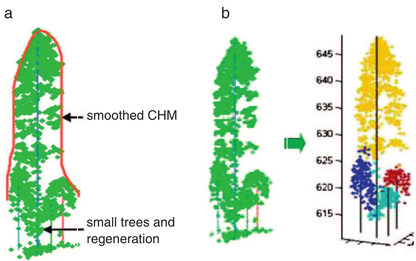 (PDF) Tree species classification and estimation of stem volume and DBH ...
