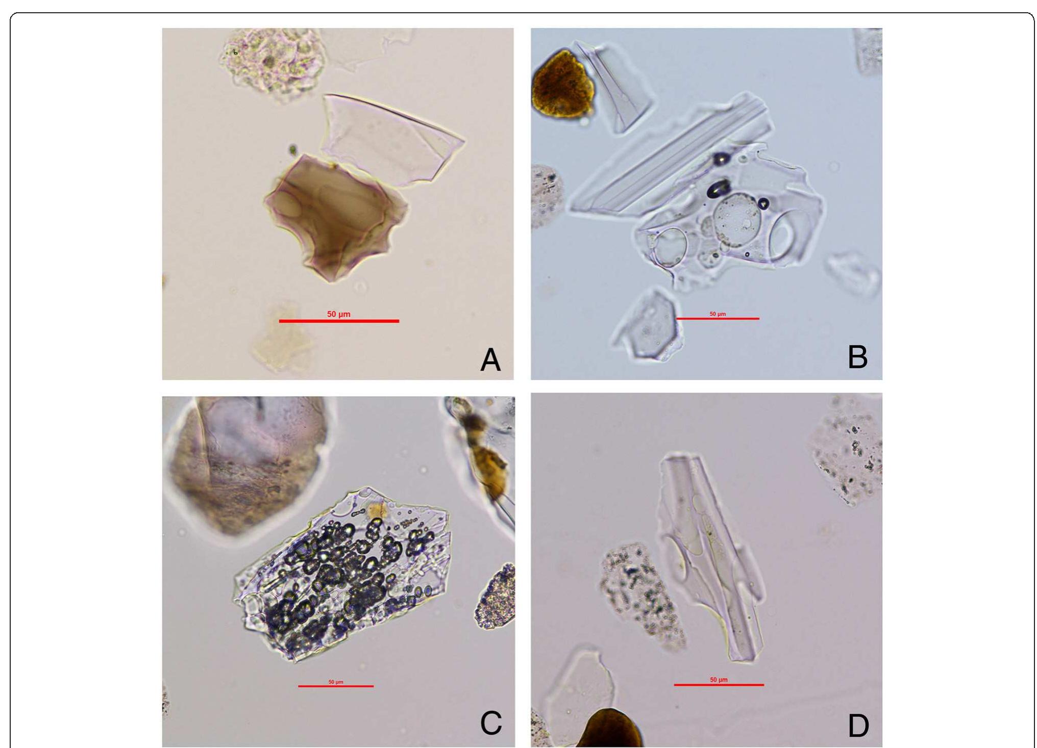 Examples of tephra shards, showing some of the inherent