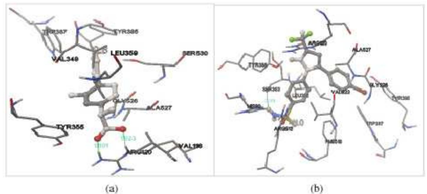 (PDF) Structure-based in silico study of 6-gingerol, 6-shogaol, and 6 ...