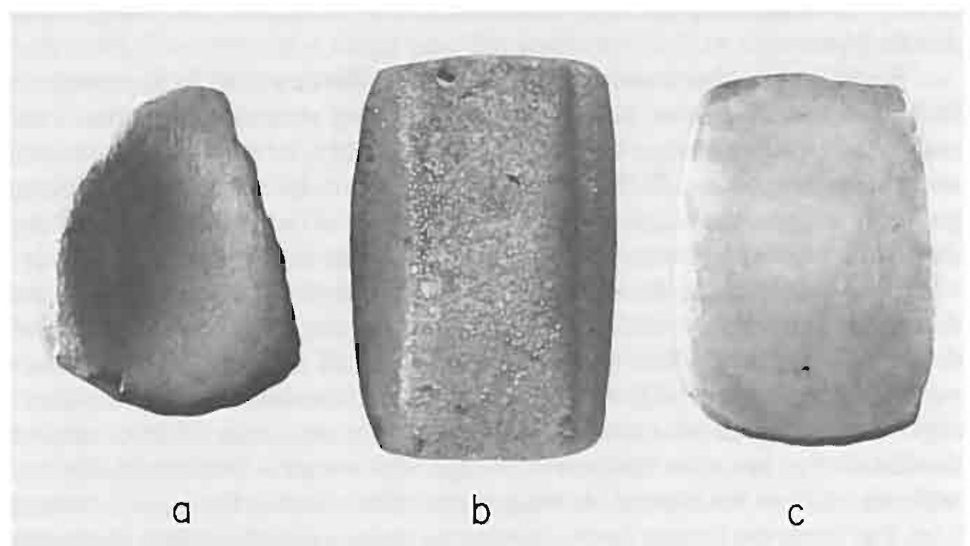 Figure 2 - from Toward understanding the technological