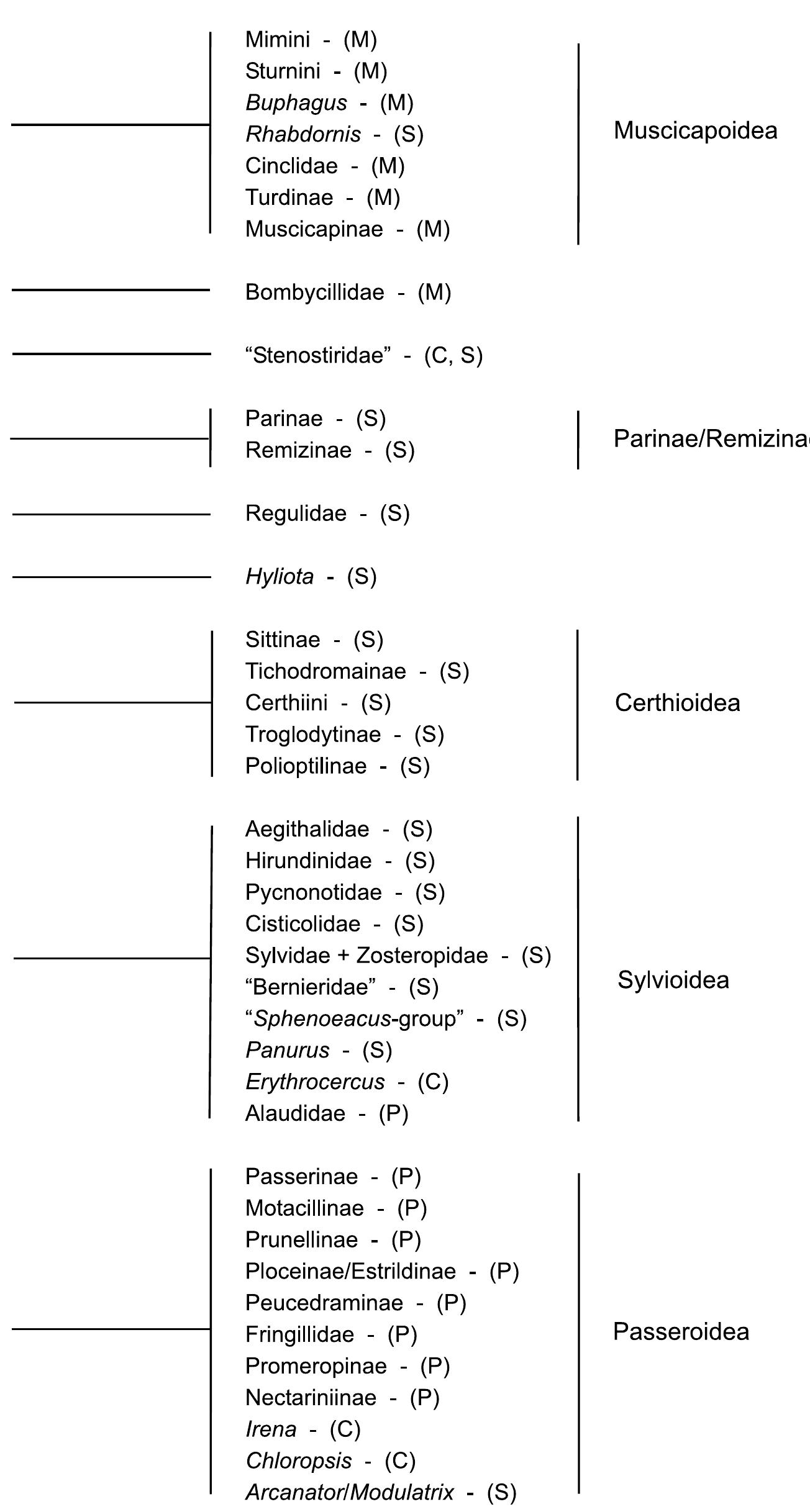 Fig. 1. Currently, recognized relationships among clades in the Passerida based on Sibley and Ahlquist (1990) with changes suggested by recent studies based on DNA sequence data (see text for details). The demarcated clades indicate the terminology we use throughout this manuscript. Letters in parentheses refer to the higher-level clade to which Sibley and Ahlquist (1990) assigned the particular clade: M, Muscicapoidea; S, Sylvioidea; P, Passeroidea, and C, Corvida. 