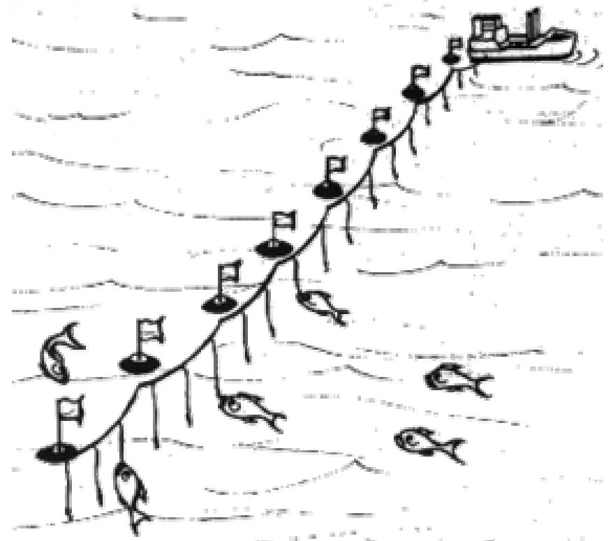 (PDF) FISHING GEARS AND FISHING METHODS
